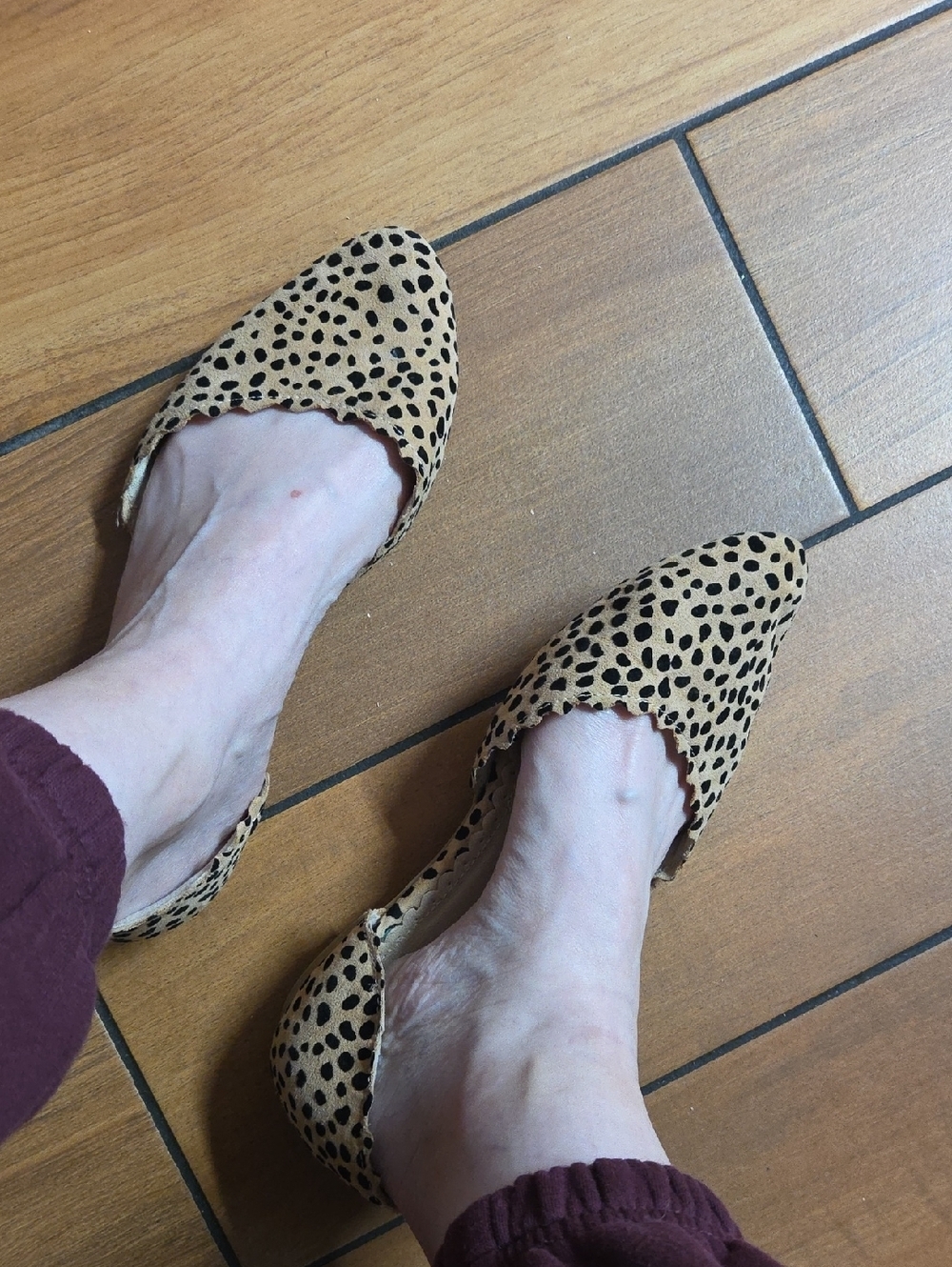 Women's Leopard Print Pointed-Toe Flats - Tan/Black